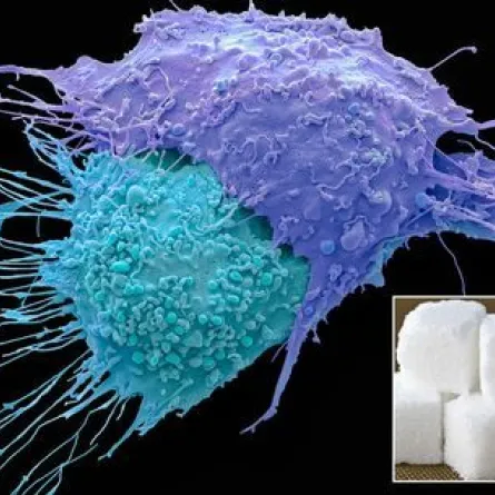  علماء يبتكرون قنبلة سكر تدمر الخلايا السرطانية في ثوان