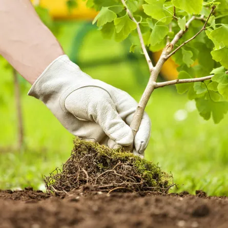 نصائح بسيطة للحفاظ على البيئة في يومها العالمي