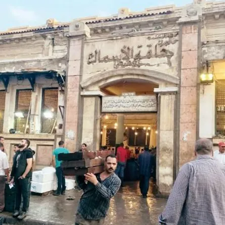 حلقة الأسماك بالإسكندرية 200 عام من السحر والفن