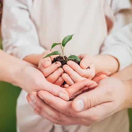 في اليوم العالمي للبيئة: طرق لتعليم الطفل حماية البيئة