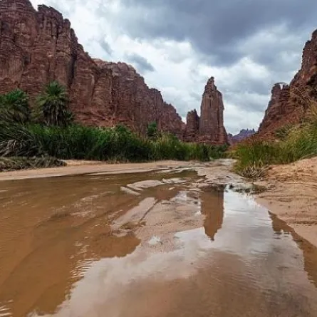 منطقة تبوك موطن السياحة حيث البحر والجبل والوادي والتاريخ