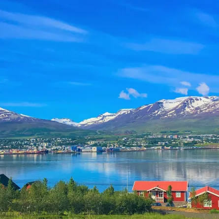 أيسلندا وجهة شهيرة لمشاهدة الحيتان في الصيف