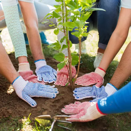 لمحبي العمل فى الهواء الطلق هذه فرصتك للتطوع البيئى