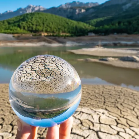 فى اليوم العالمى لمكافحة التصحر والجفاف.. استعادة الأراضي المتدهورة يمثل أهمية اقتصادية كبرى