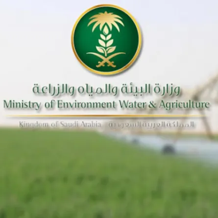 البيئة السعودية: زيادة نسبة النترات في الخضار غير صحيح