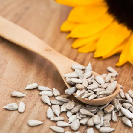 فوائد بذور دوار الشمس الصحية لن تخطر على بالك