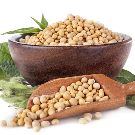 زيت فول الصويا أفضل الأنواع للطهي وفوائده مدهشة