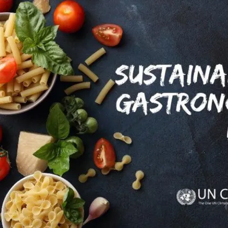 فى اليوم الدولي لفن الطبخ المستدام.. نصائح وأفكار للطهي