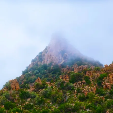 أجمل منتجعات وشاليهات الطائف