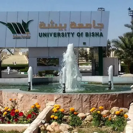 جامعة بيشة تعلن عن وظائف أكاديمية شاغرة للمتعاونين