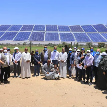 مُنسقة الأمم المتحدة  وبرنامج الأغذية العالمي فى مدينة الأقصر