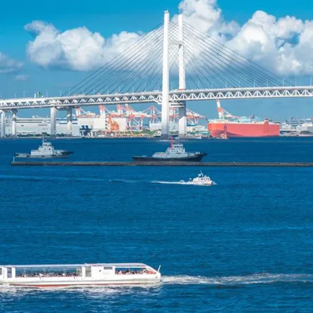 إرشادات عند السفر إلى اليابان