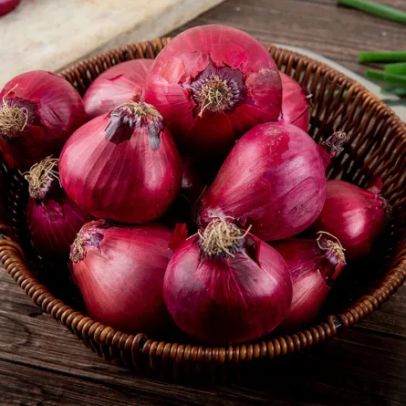 لن تصدقي ما تفعله شرائح البصل داخل الجوارب قبل النوم