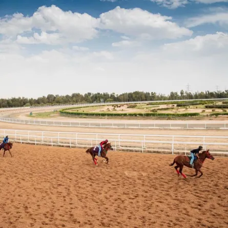  سباق الخيل يقيم الحفل العاشر على كأس جامعة أم القرى والنادي بالطائف