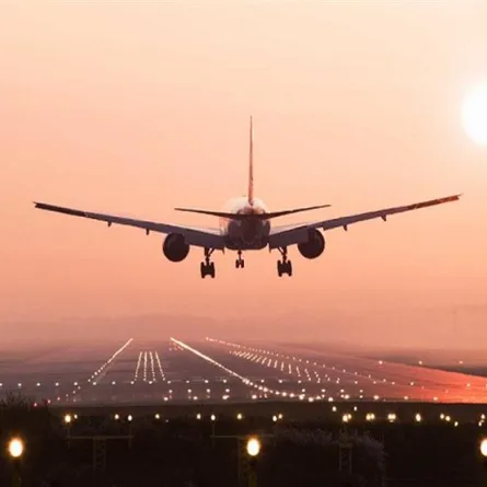 علماء يطورن طائرة جديدة بدون طيار من أجنحة حشرة الجراد