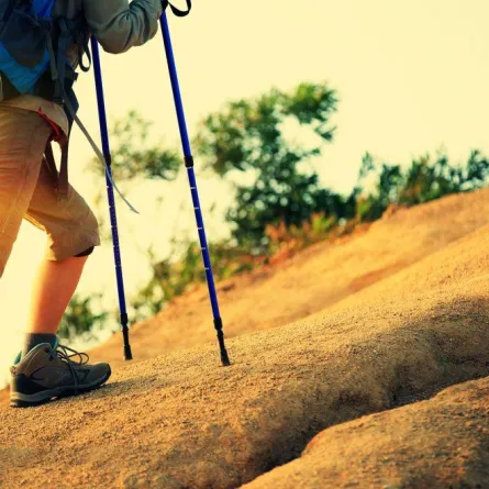 تعرف على الهايكنق في وجهات صيف السعودية بين أحضان الطبيعة