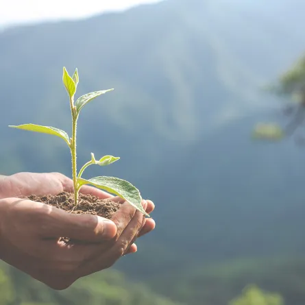 أصحاب الهمم شركاء في التطوع والاستدامة البيئية في الإمارات