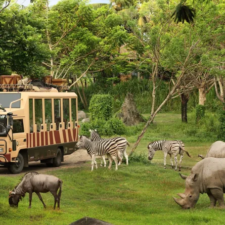 أكبر حديقة حيوانات في العالم