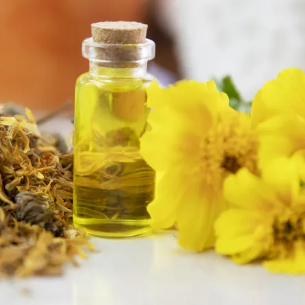 زيت البابونج للبشرة الدهنية