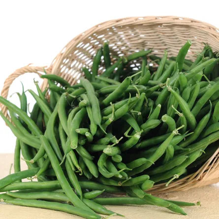 فوائد الفاصولياء الخضراء للنساء لا تستهيني بها