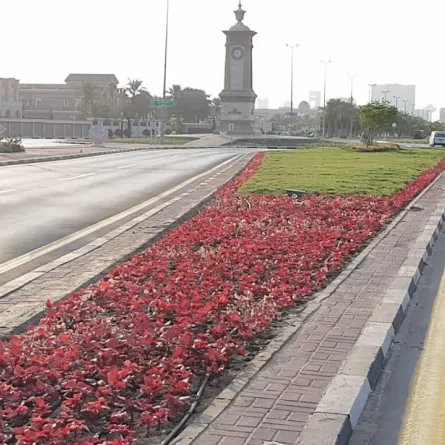 الشرقية تستقبل زوارها بـ 5 مليون زهرة في عيد الأضحى المبارك  