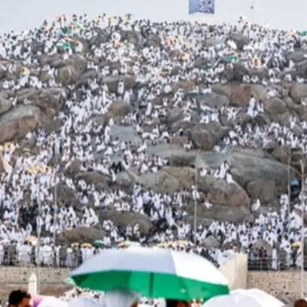 فضل يوم عرفة والأعمال المستحبة فيه