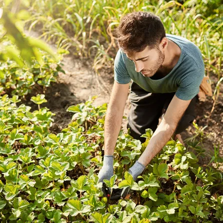 أكثر الانشطة المفيدة للشباب في فصل الصيف