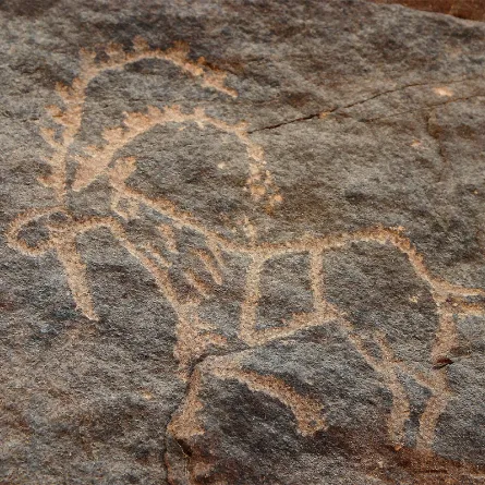 6 مواقع سعودية  في قائمة التراث العالمي التابعة لليونسكو