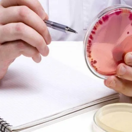 باحثون أمريكيون يبتكرن تقنية لتجديد جلد الإنسان