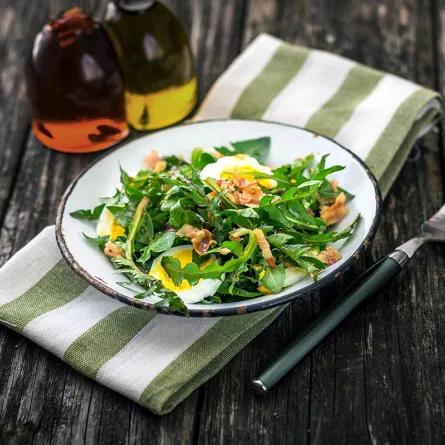 فوائد الهندباء الخضراء للنساء غير منتظرة