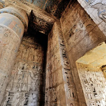 أنواع و مفهوم الفن الجداري 