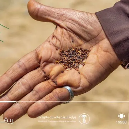 برنامج "ريف" يرفع الحد الأعلى للراتب التقاعدي للاستحقاق من 6 آلاف ريال إلى 9 آلاف ريال