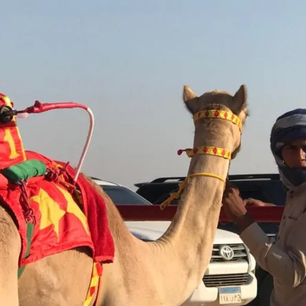 نجاح لافت للنسخة الـ2 من بطولة سباق الهجن في مصر