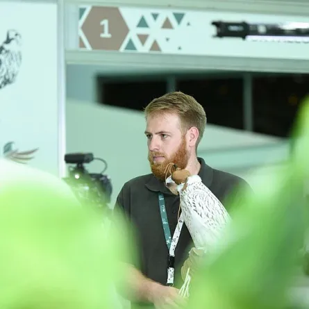 مزرعة بريطانية تستهل المزاد الدولي لمزارع إنتاج الصقور ببيع 5 صقور