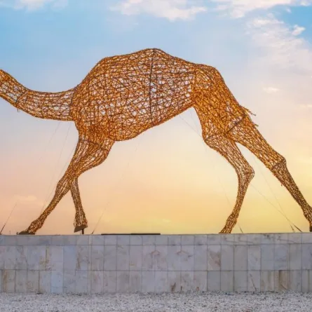 اتحاد الهجن يهدي الطائف أكبر مجسم مضيء للهجن في العالم