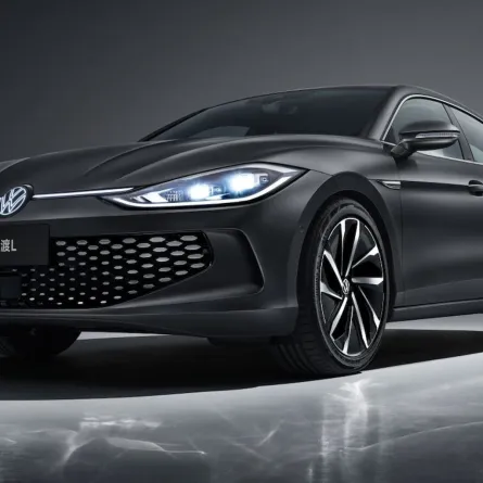 فولكس فاغن لاماندو ال - لون آخر