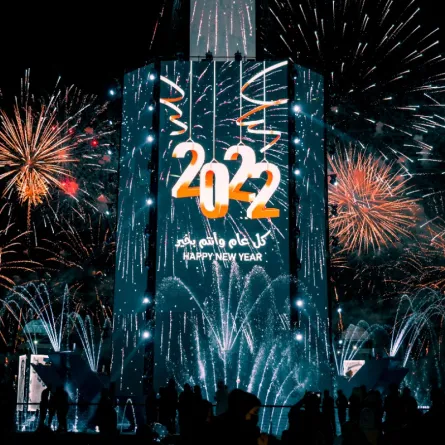 مهرجان الشيخ زايد يدخل موسوعة غينيس - الصورة من وام