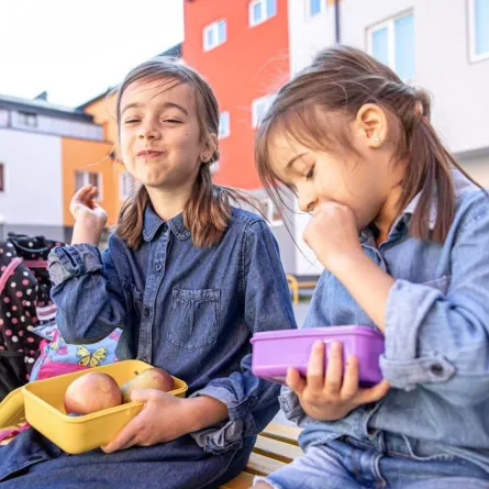 كيف تختارين حافظة طعام للأطفال؟