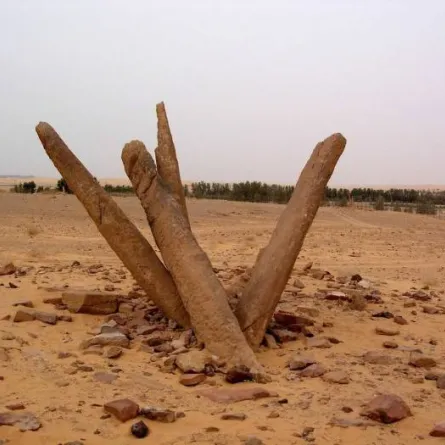 أعمدة الرجاجيل 