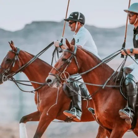 بطولة ريتشارد ميل