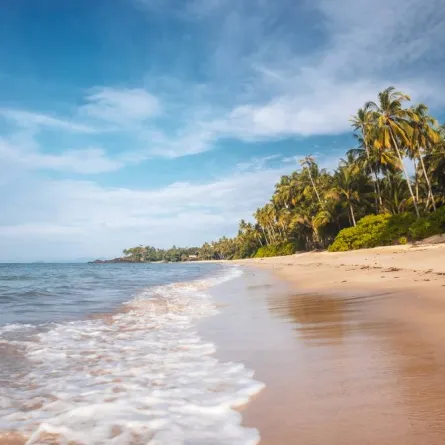 زيارة إلى بورنيو ثالث أكبر جزيرة في العالم