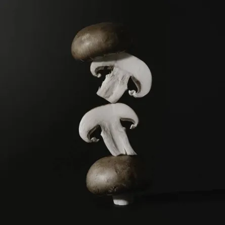 فوائد الفطر للنساء "خارقة" لخسارة الوزن وتقوية المناعة