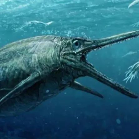 العثور على حفرية لـ"تنين البحر"