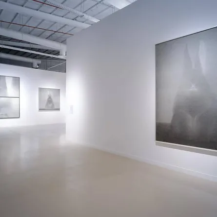 "من لحية مينغ - رقم 3" للفنان الصيني شاو فان