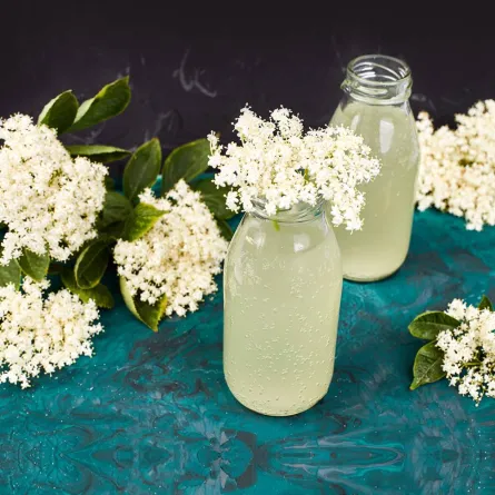 فوائد هامة للبيلسان للنساء