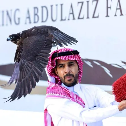 الصقار السعودي