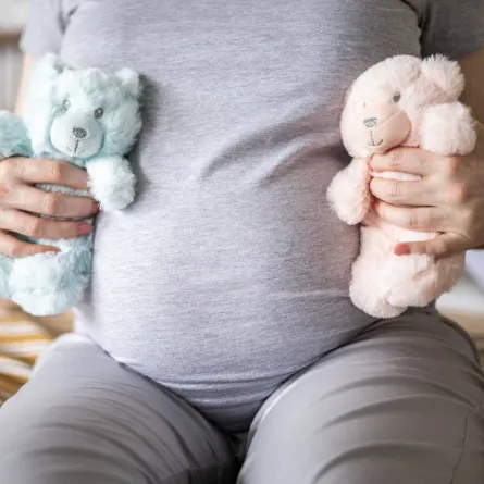 صورة لحامل بتوأم