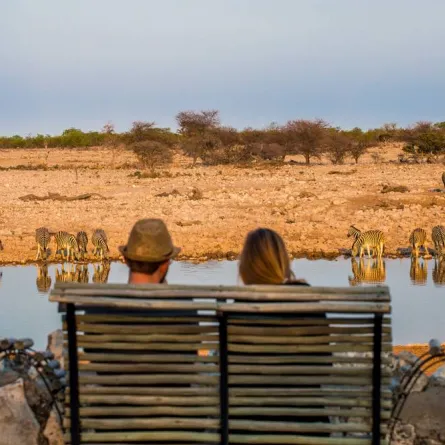رحلة إلى ناميبيا لمشاهدة الحياة البرية 
