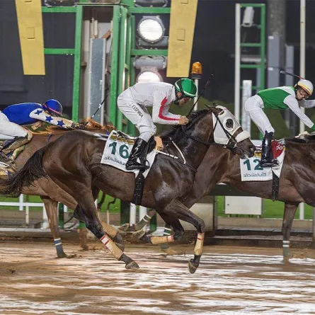مهرجان كؤوس الملوك - الصورة من واس