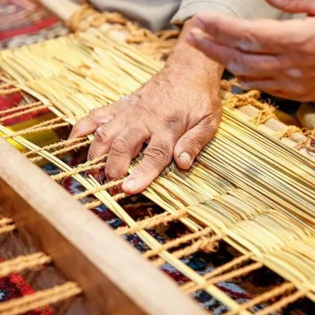   مهرجان تمور الأحساء